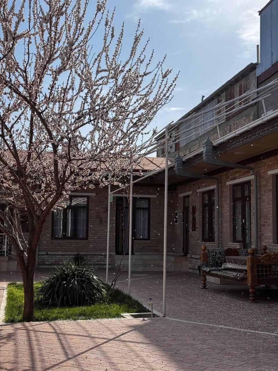 Salomat Guest House Samarcanda Exterior foto